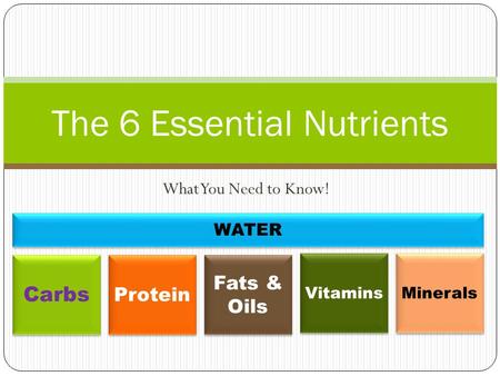 What You Need to Know! The 6 Essential Nutrients Carbs Protein Fats & Oils Vitamins Minerals WATER.