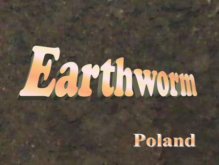 The benefits of earthworms are well-known. They are tireless tillers of our soils and their castings are the richest and best of all fertilizers. It is.