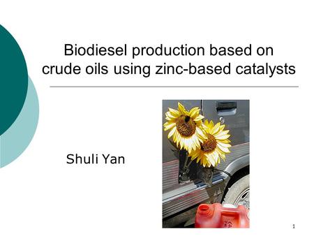 1 Biodiesel production based on crude oils using zinc-based catalysts Shuli Yan.