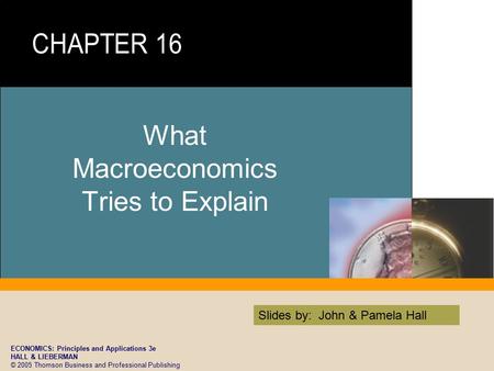 ECONOMICS: Principles and Applications 3e HALL & LIEBERMAN © 2005 Thomson Business and Professional Publishing Slides by: John & Pamela Hall What Macroeconomics.