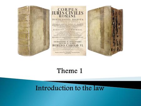 Theme 1 Introduction to the law