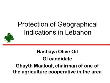 1 Protection of Geographical Indications in Lebanon Hasbaya Olive Oil GI candidate Ghayth Maalouf, chairman of one of the agriculture cooperative in the.