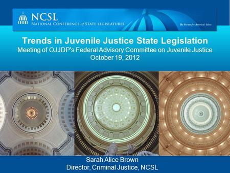 Trends in Juvenile Justice State Legislation Meeting of OJJDP's Federal Advisory Committee on Juvenile Justice October 19, 2012 Sarah Alice Brown Director,