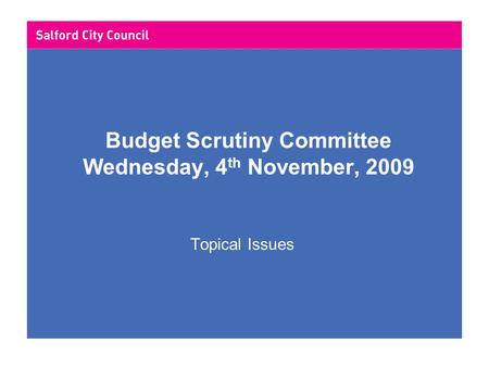 Budget Scrutiny Committee Wednesday, 4 th November, 2009 Topical Issues.