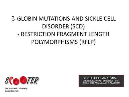  -GLOBIN MUTATIONS AND SICKLE CELL DISORDER (SCD) - RESTRICTION FRAGMENT LENGTH POLYMORPHISMS (RFLP)