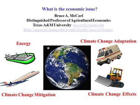 What is the economic issue? Bruce A. McCarl Distinguished Professor of Agricultural Economics Texas A&M University