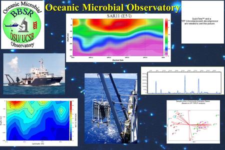 Oceanic Microbial Observatory SAR11 (E5/l). 1. 1.Identify spatial and temporal patterns in specific bacterioplankton/ prokaryotic populations 2. 2.Initiate.