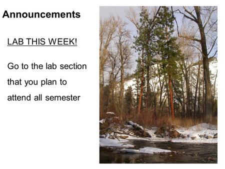 Announcements LAB THIS WEEK! Go to the lab section that you plan to attend all semester.