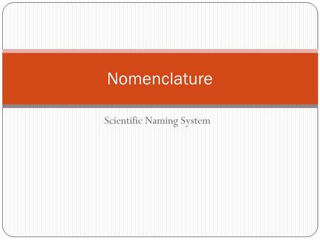 Scientific Naming System