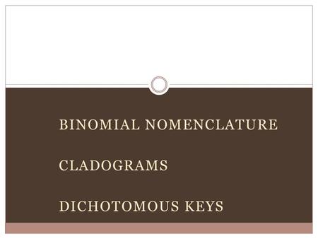 Binomial Nomenclature Cladograms Dichotomous Keys