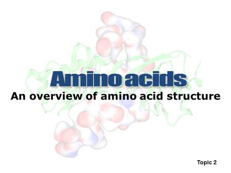 An overview of amino acid structure Topic 2. Biomacromolecule A naturally occurring substance of large molecular weight e.g. Protein, DNA, lipids etc.