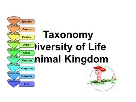 Taxonomy Diversity of Life Animal Kingdom. ? Questions about Kingdoms ? 1.What are the kingdoms of life? 2.Which kingdom(s) is/are single celled? 3.Which.