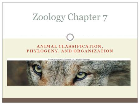 Animal Classification, Phylogeny, and Organization