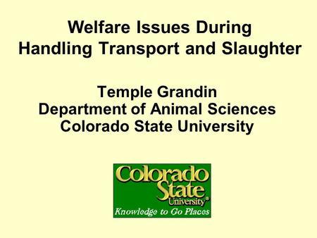 Welfare Issues During Handling Transport and Slaughter Temple Grandin Department of Animal Sciences Colorado State University.