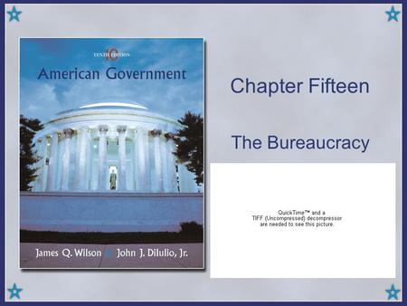Chapter Fifteen The Bureaucracy.