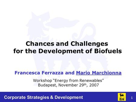 1 Workshop “Energy from Renewables” Budapest, November 29 th, 2007 Chances and Challenges for the Development of Biofuels Francesca Ferrazza and Mario.