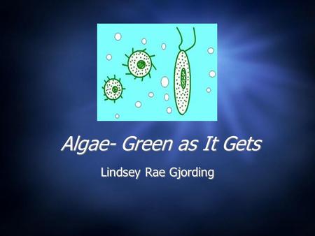 Algae- Green as It Gets Lindsey Rae Gjording.  What is Algae?  Necessities of Life  Oil Extraction Methods  Algae as a Fuel: Biodiesel and Hydrogen.