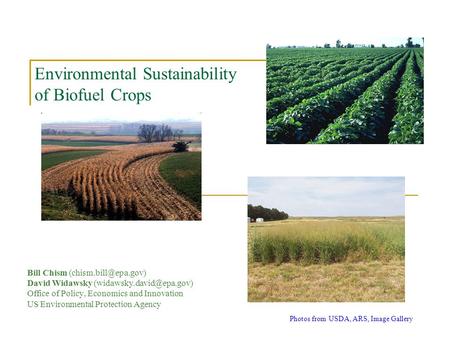 Environmental Sustainability of Biofuel Crops Bill Chism David Widawsky Office of Policy, Economics and Innovation.
