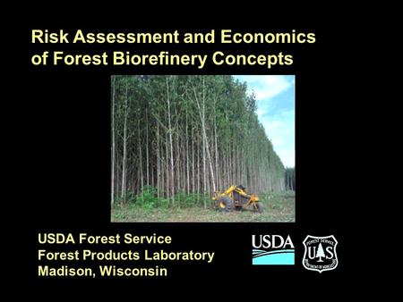 Risk Assessment and Economics of Forest Biorefinery Concepts USDA Forest Service Forest Products Laboratory Madison, Wisconsin.