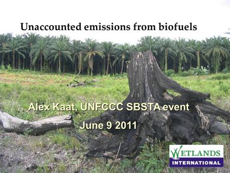 Unaccounted emissions from biofuels Alex Kaat, UNFCCC SBSTA event June 9 2011.
