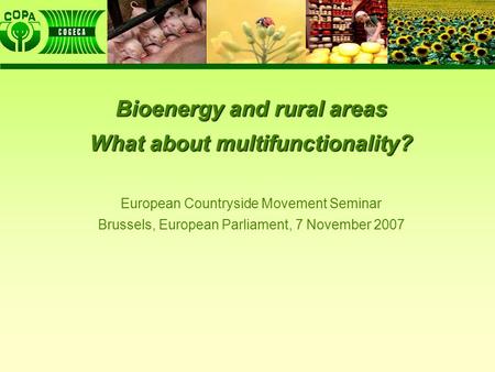 Bioenergy and rural areas What about multifunctionality? European Countryside Movement Seminar Brussels, European Parliament, 7 November 2007.