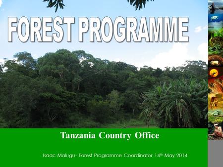 Isaac Malugu- Forest Programme Coordinator14 th May 2014 Tanzania Country Office.