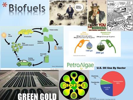  History of biofuels  Inconsistencies with biofuels?  Projects  Algenol Company  Sapphire Energy Company  Where biofuels are now  Trends that will.