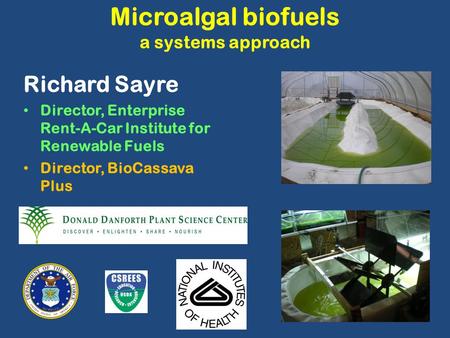 Microalgal biofuels a systems approach Richard Sayre Director, Enterprise Rent-A-Car Institute for Renewable Fuels Director, BioCassava Plus.