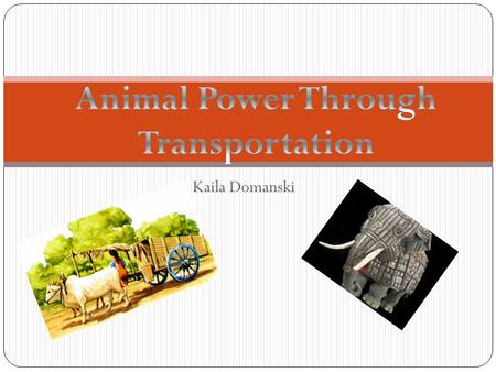Kaila Domanski What Animals and Where? Dogs were the first to be used as draft animals. Early Eurasian nomads used dogs for hunting reindeer, and soon.