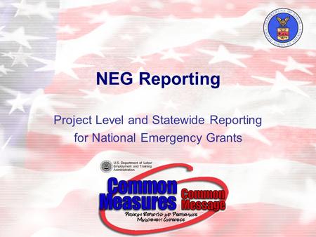 NEG Reporting Project Level and Statewide Reporting for National Emergency Grants.