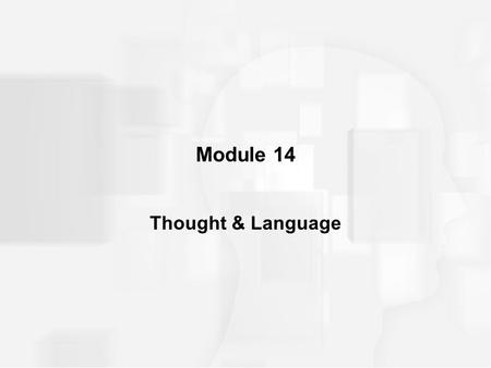 Module 14 Thought & Language.