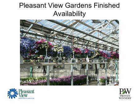 Pleasant View Gardens Finished Availability. 10” Combo Hangers.