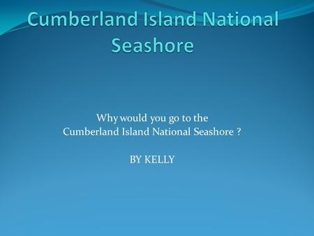 Why would you go to the Cumberland Island National Seashore ? BY KELLY.