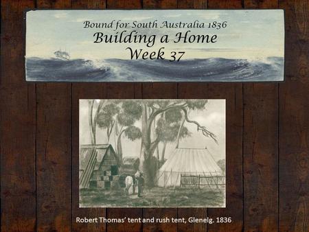 Bound for South Australia 1836 Building a Home Week 37 Robert Thomas’ tent and rush tent, Glenelg. 1836.