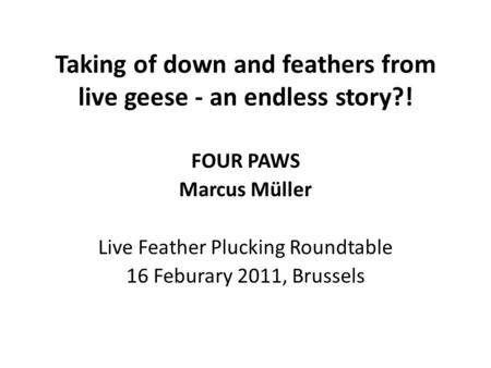 Taking of down and feathers from live geese - an endless story?! FOUR PAWS Marcus Müller Live Feather Plucking Roundtable 16 Feburary 2011, Brussels.