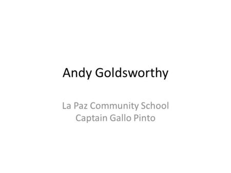Andy Goldsworthy La Paz Community School Captain Gallo Pinto.