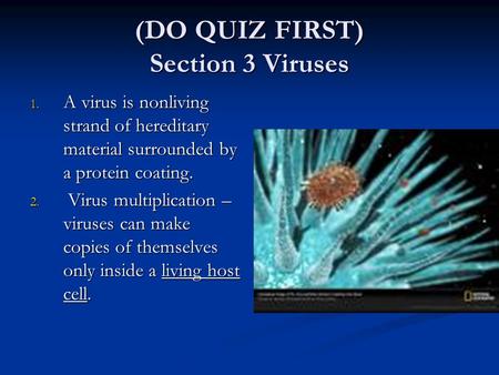 (DO QUIZ FIRST) Section 3 Viruses