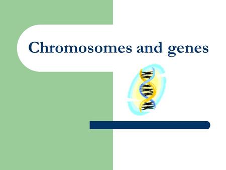 Chromosomes and genes Hereditary traits - Hereditary traits are passed on through generations. -Examples of traits are : your skin color, your hair,