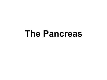 The Pancreas 1 1.