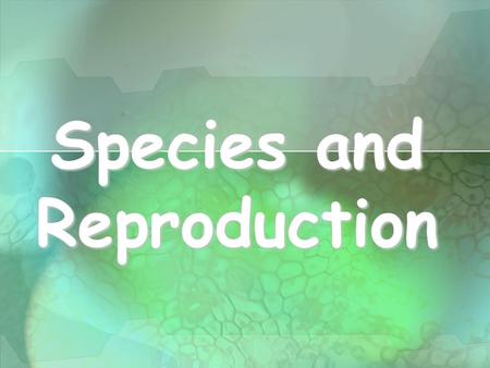 Species and Reproduction. REVIEW: Diploid vs. Haploid.