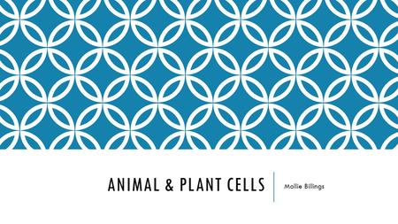 ANIMAL & PLANT CELLS Mollie Billings. Content Area: Science Grade Level: Fifth Summary: The purpose of this instructional PowerPoint is to have the students.