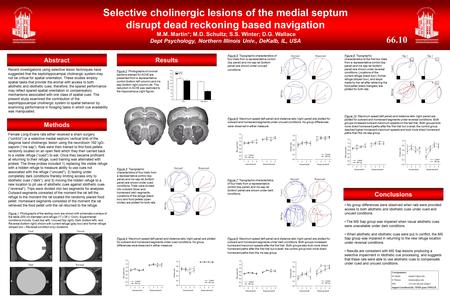 Methods Results Conclusions Selective cholinergic lesions of the medial septum disrupt dead reckoning based navigation M.M. Martin*; M.D. Schultz; S.S.