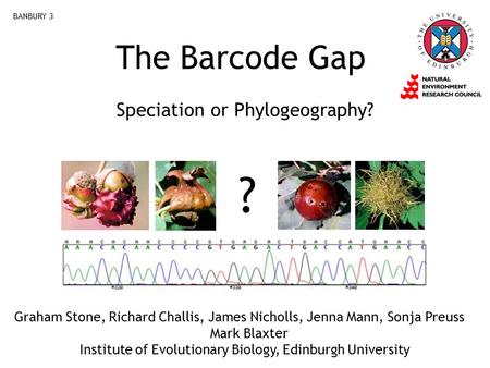 The Barcode Gap Speciation or Phylogeography? BANBURY 3 ? Graham Stone, Richard Challis, James Nicholls, Jenna Mann, Sonja Preuss Mark Blaxter Institute.