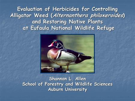 ٥ Evaluation of Herbicides for Controlling Alligator Weed (Alternanthera philoxeroides) and Restoring Native Plants at Eufaula National Wildlife Refuge.