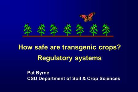 How safe are transgenic crops? Regulatory systems Pat Byrne CSU Department of Soil & Crop Sciences.