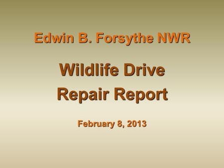 Edwin B. Forsythe NWR Wildlife Drive Repair Report February 8, 2013.