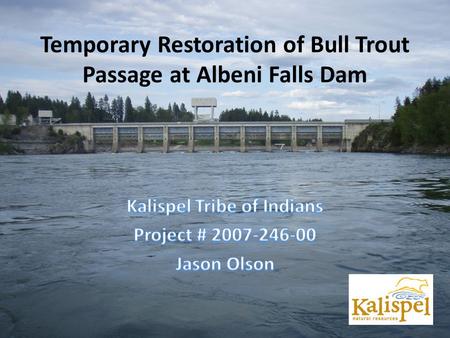 Temporary Restoration of Bull Trout Passage at Albeni Falls Dam.