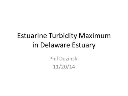 Estuarine Turbidity Maximum in Delaware Estuary