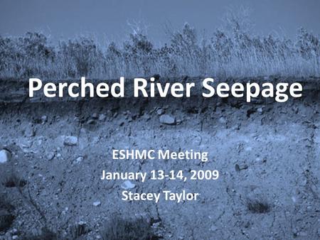 Perched River Seepage ESHMC Meeting January 13-14, 2009 Stacey Taylor.