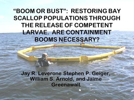 “BOOM OR BUST”: RESTORING BAY SCALLOP POPULATIONS THROUGH THE RELEASE OF COMPETENT LARVAE. ARE CONTAINMENT BOOMS NECESSARY? Jay R. Leverone Stephen P.